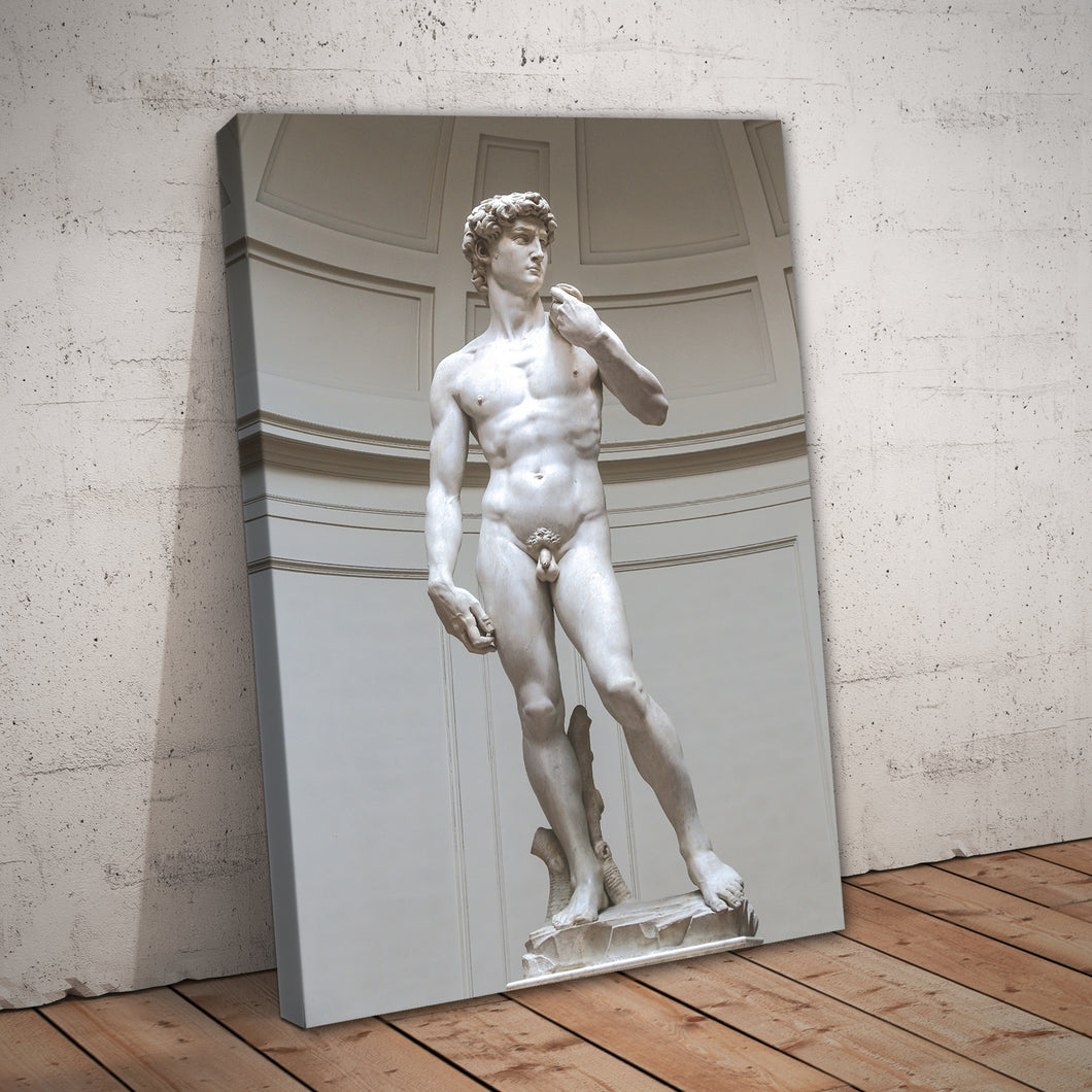 Statue of David by Michelangelo Print