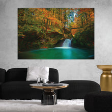 Load image into Gallery viewer, Forest Photography Print
