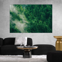 Load image into Gallery viewer, Foggy Forest Photography Print
