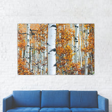Load image into Gallery viewer, White Birch Tree Forest Print
