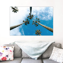 Load image into Gallery viewer, Palm Tree Blue Skies Print
