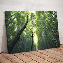 Load image into Gallery viewer, Bamboo Forest Photography Print

