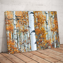 Load image into Gallery viewer, White Birch Tree Forest Print

