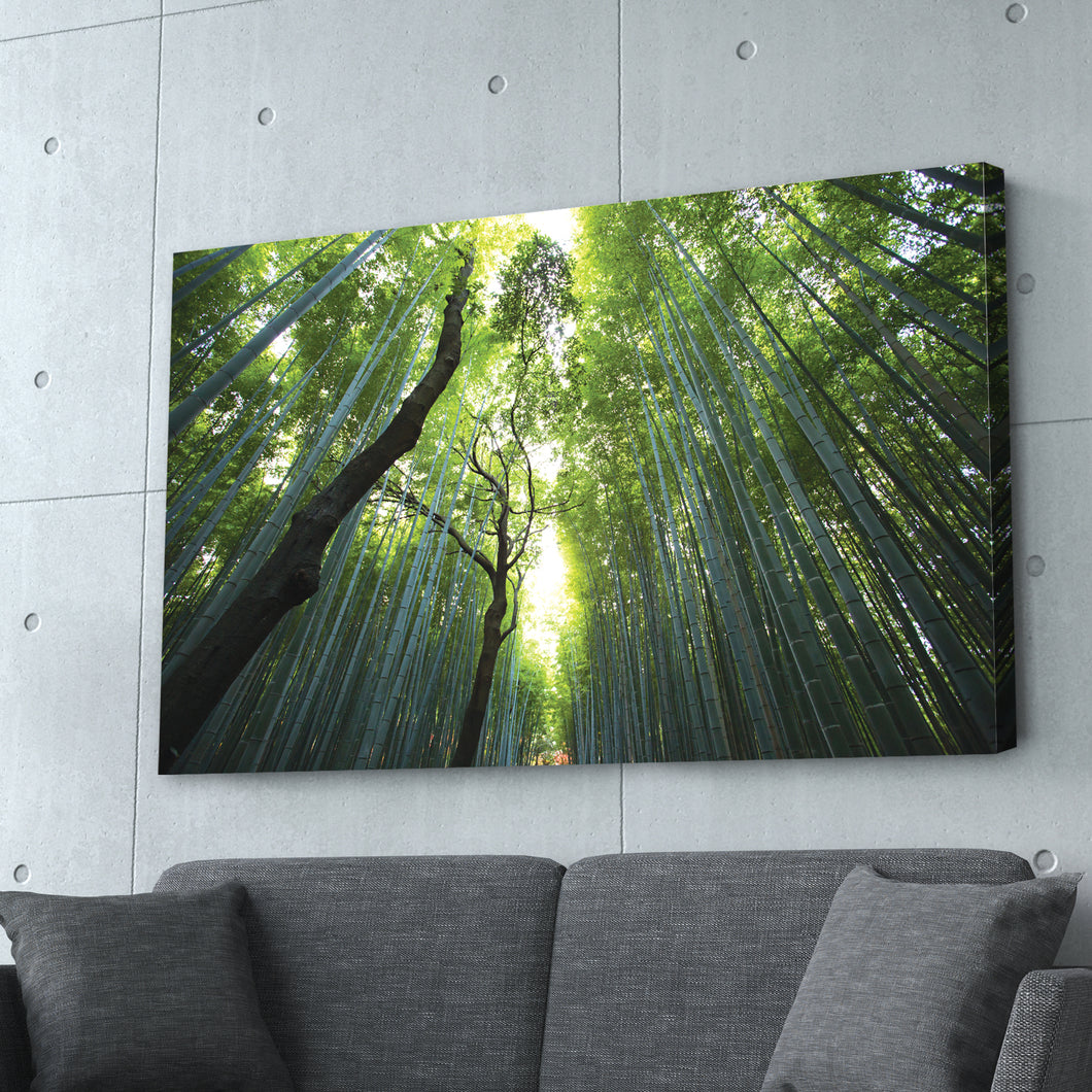 Bamboo Forest Photography Print