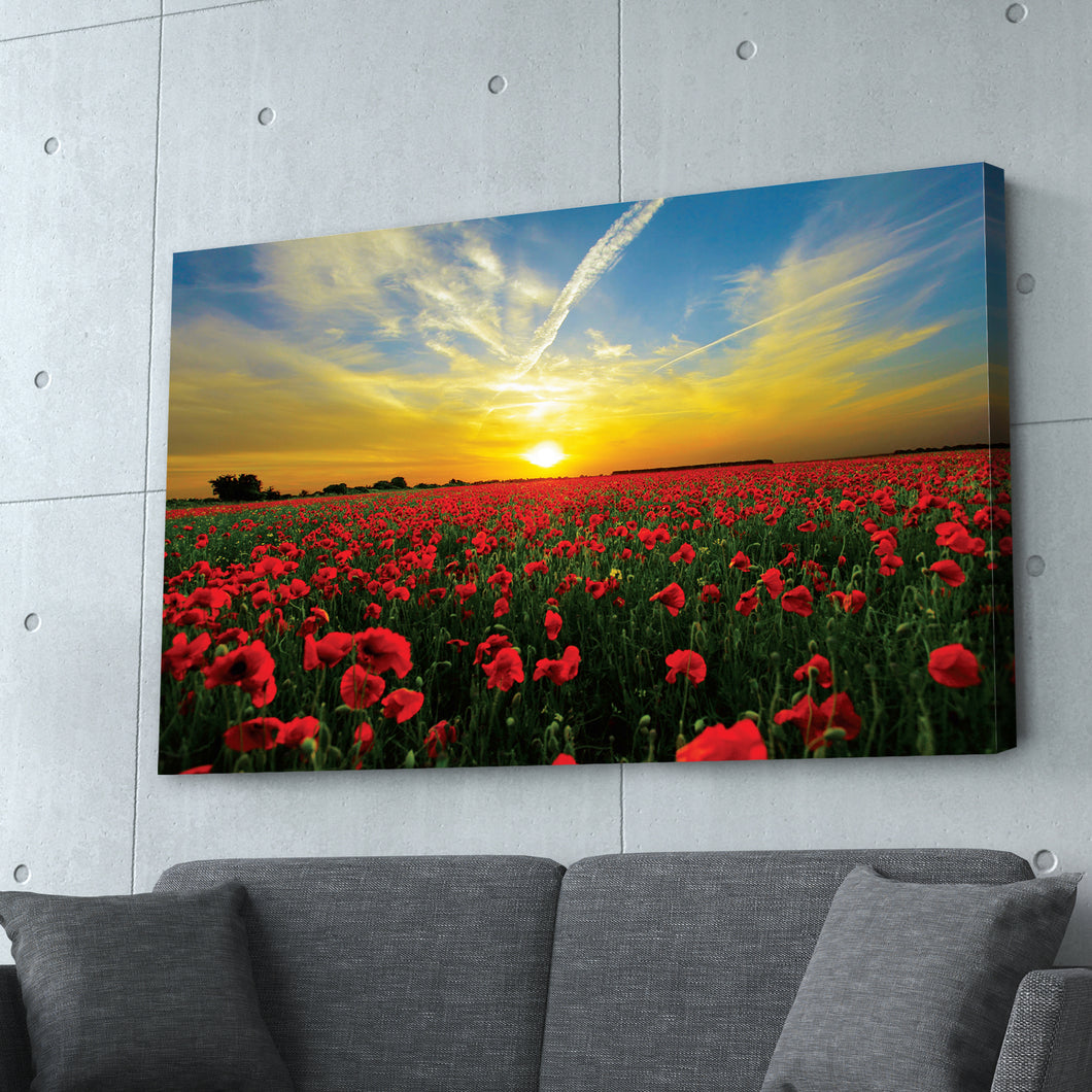 Sunset in the Meadows Print
