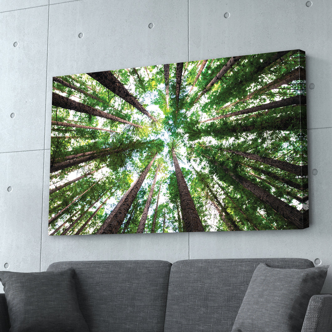 Forest Photography Print