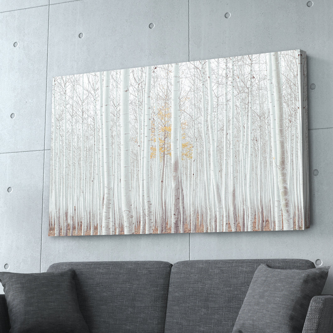 White Forest Abstract Print