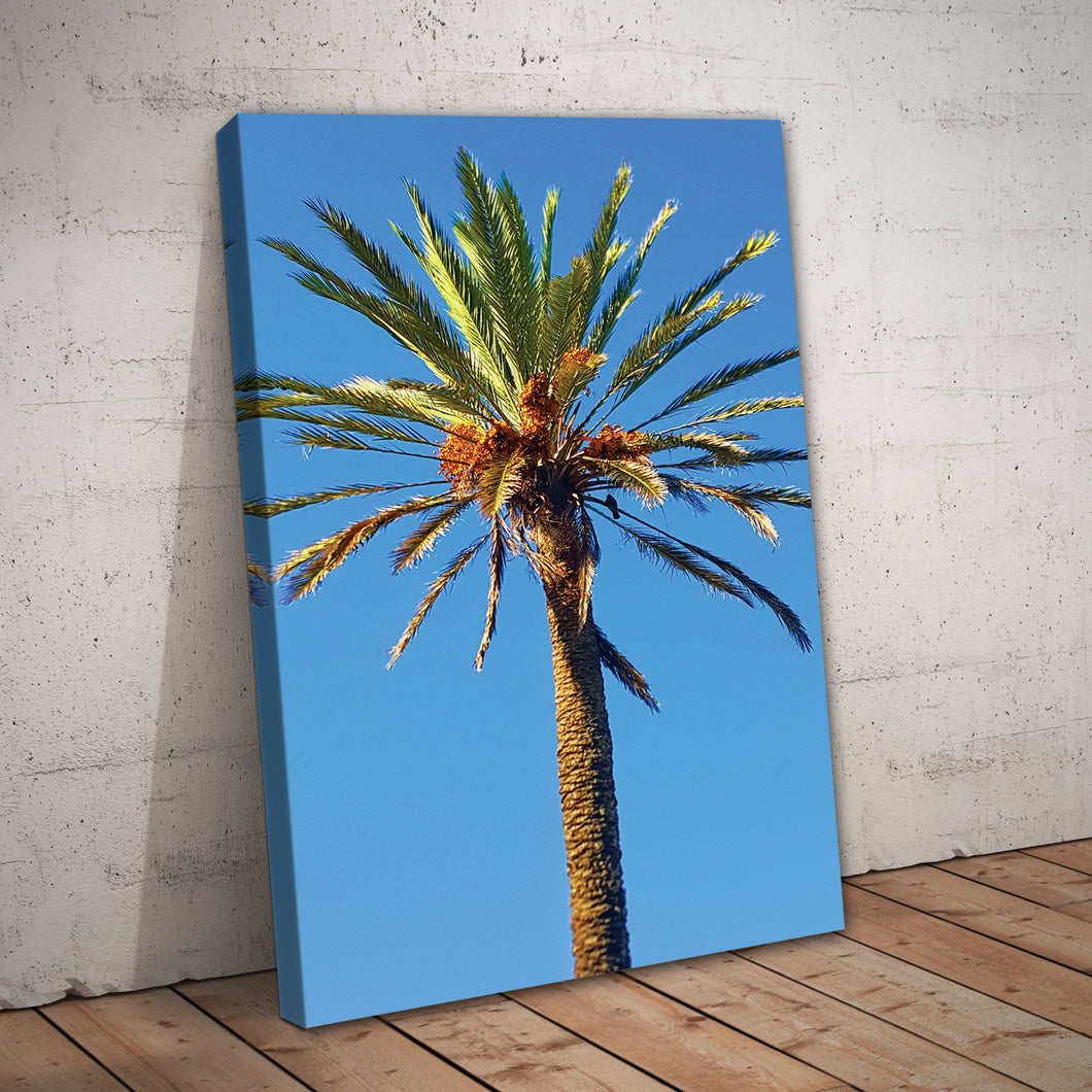 Palm Tree Nature Print